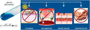 Media Release: New research shows RM191A fast tracks wound healing, reduces DNA damage and neutralises inflammation.